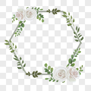 白玫瑰花卉植物六边形边框图片
