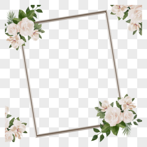 玫瑰花卉边框图片