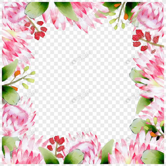 普罗蒂亚花卉美丽自然边框图片