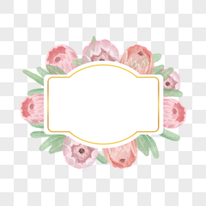 普罗蒂亚花卉水彩边框图片