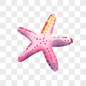 星星海星粉色生物图片图片
