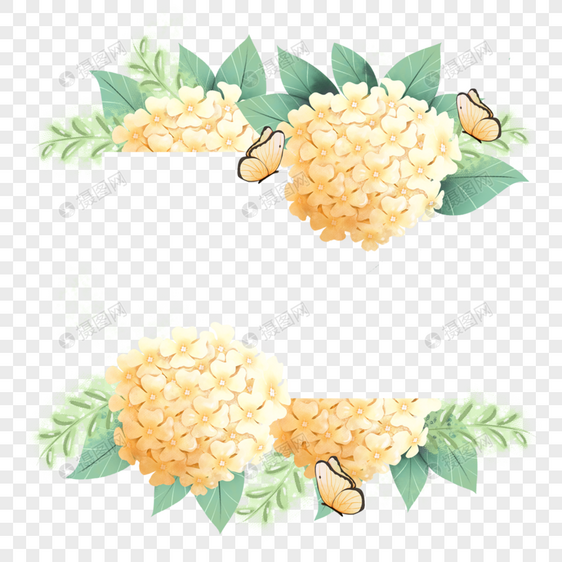 绣球花卉水彩蝴蝶黄色美丽边框图片