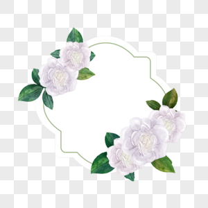 白玫瑰水彩婚礼时尚边框图片