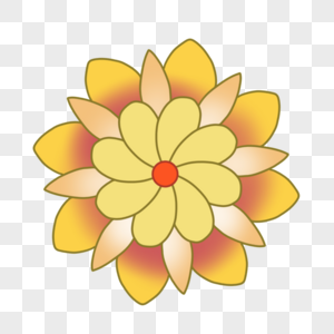 玉英黄色花朵对称图片图片