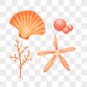 贝壳海洋水彩生物图片