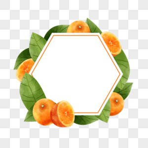 橙子水果水彩自然边框图片