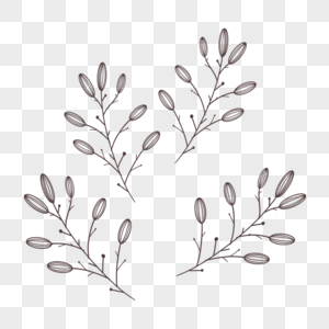 树枝花苞单色分隔线图片