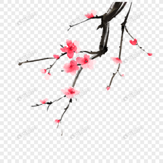 梅花树枝新年花卉图片