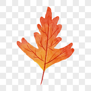 手绘风格水彩秋季树叶图片