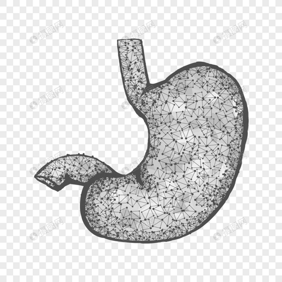 抽象多边形胃器官医学图片