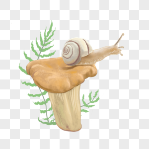 水彩蘑菇蜗牛图片