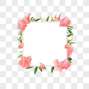水彩杜鹃花卉方形线条边框图片