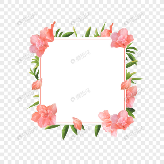 水彩杜鹃花卉方形线条边框图片