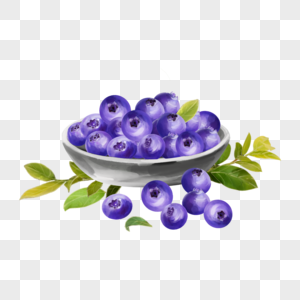 一碗水彩水果食物蓝莓图片