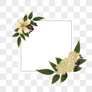 方形水彩荚蒾花卉边框图片