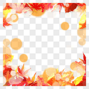 秋季光效树叶边框自然装饰图片