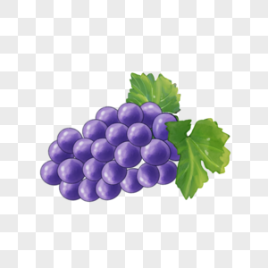 水彩食物水果葡萄紫色图片
