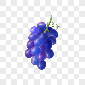 蓝色葡萄串水彩食物水果图片