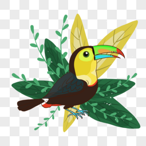 夏季热带植物装饰可爱卡通巨嘴鸟图片