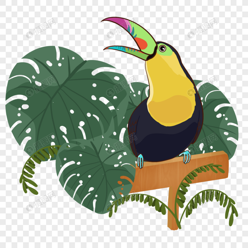 夏季宽叶子热带植物卡通巨嘴鸟图片
