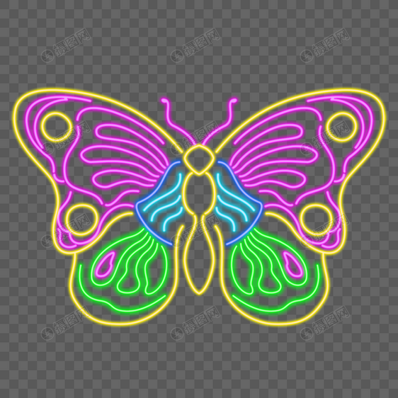彩色霓虹灯光效果蝴蝶标本图片