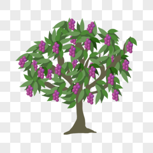 紫色葡萄卡通水果树图片