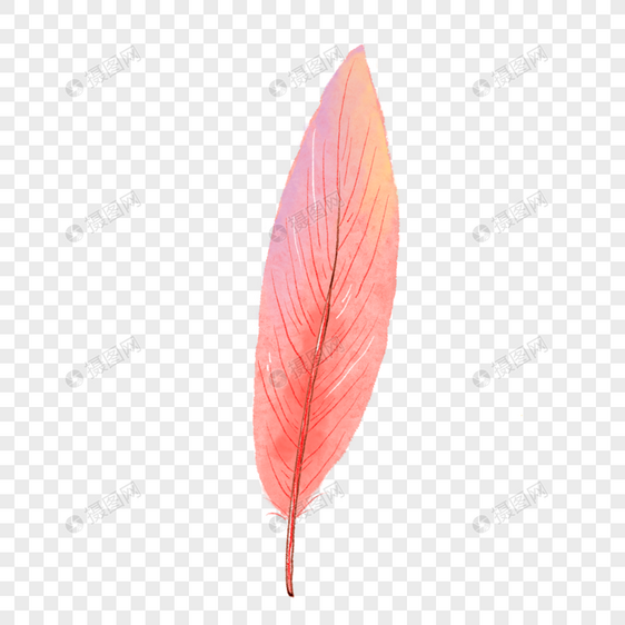 粉色纹路水彩羽毛图片
