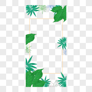 夏季热带树叶线条边框图片