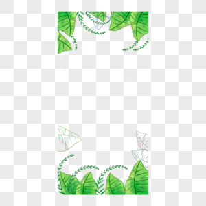 夏季热带树叶植物边框图片