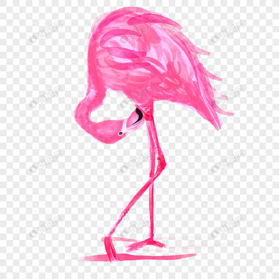 火烈鸟鸟类动物水彩画粉红色图片