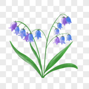 浅蓝色蓝铃花水彩植物婚礼花卉图片