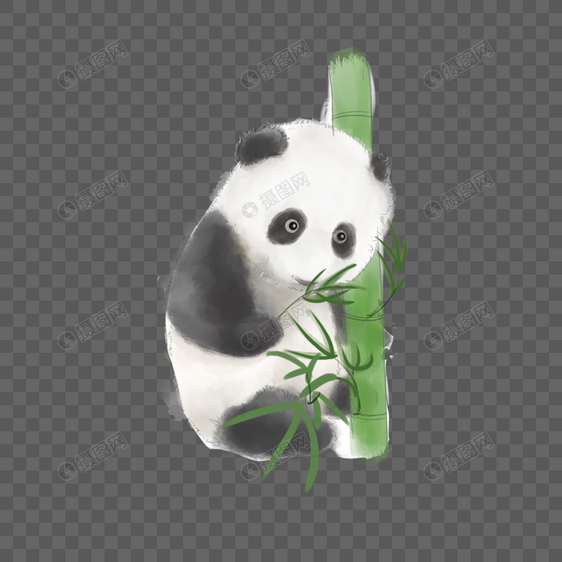 水彩熊猫抱竹子吃竹叶图片