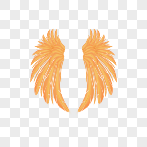 逼真的橘黄色羽翼翅膀图片