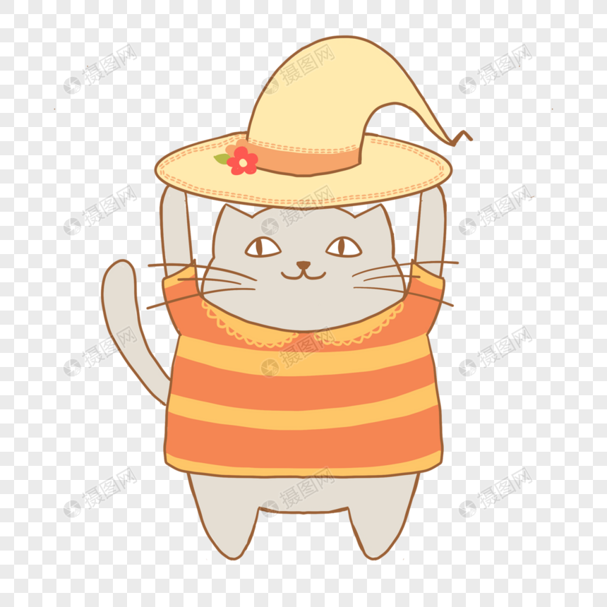 戴帽子的可爱猫咪