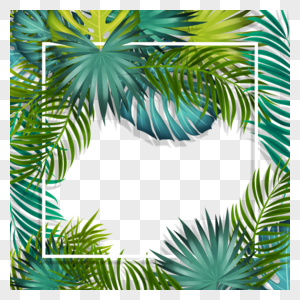 手绘夏天棕榈叶立体白色正方形线条边框图片