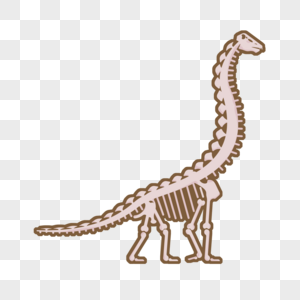 世界博物馆日卡通恐龙骨架图片