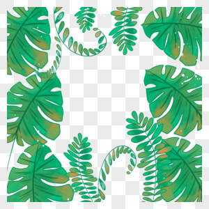 夏季水彩热带植物边框图片
