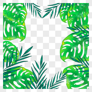 水彩夏季热带植物边框图片