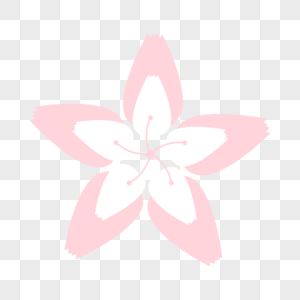 粉白双层樱花可爱装饰图片