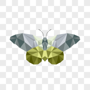 绿色灰色几何风格多边形低聚蝴蝶图片