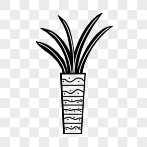 创意黑白单色涂鸦圆筒花瓶植物图片