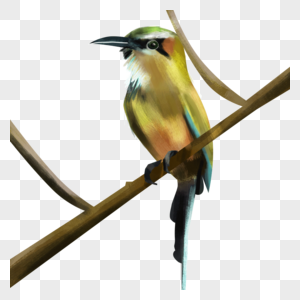 绿色羽毛水彩鸟类动物图片