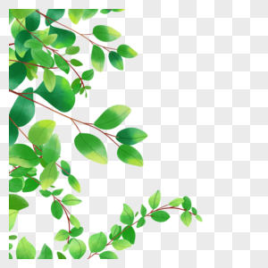 茂盛枝条植物水彩尤加利叶边框图片