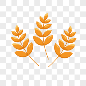秋天橙色黄色丰收节麦子图片