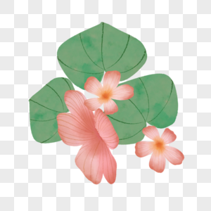 绿色树叶粉色花朵开斋节装饰图片