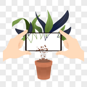 手握手机拍摄盆栽植物社交插画图片