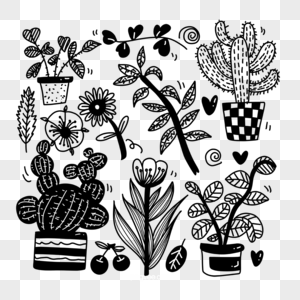 花草植物盆栽单线黑白涂鸦图片