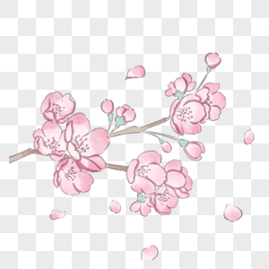 粉色水彩风格春季樱花图片