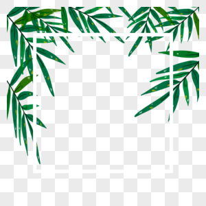 绿色夏季植物棕榈叶边框高清图片