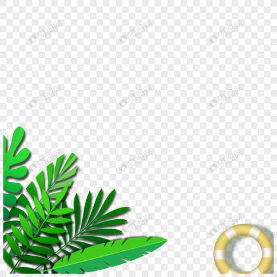 热带绿色龟背竹叶子图片